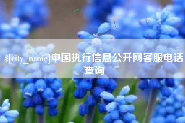 肇东中国执行信息公开网客服电话查询