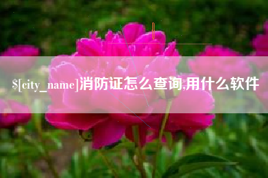 肇东消防证怎么查询,用什么软件