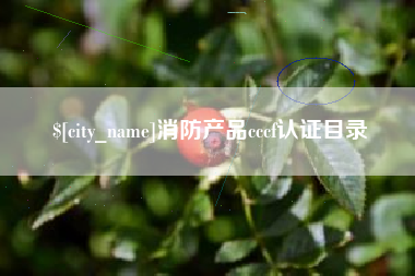 肇东消防产品cccf认证目录