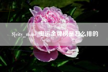 肇东奥运金牌榜是怎么排的