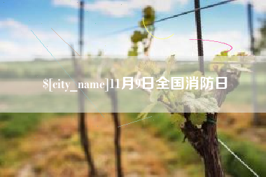 肇东11月9日全国消防日