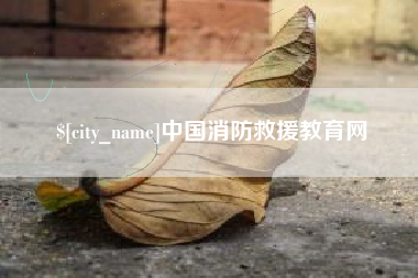 肇东中国消防救援教育网
