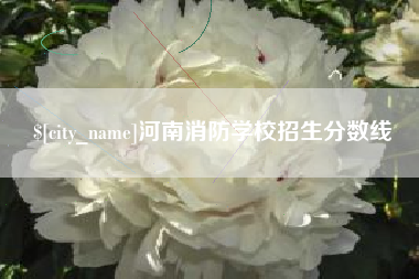 肇东河南消防学校招生分数线