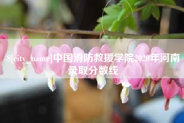 肇东中国消防救援学院2020年河南录取分数线
