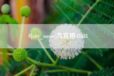 肇东九宫格42633