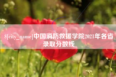 肇东中国消防救援学院2021年各省录取分数线