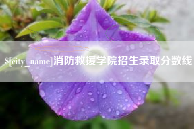 肇东消防救援学院招生录取分数线