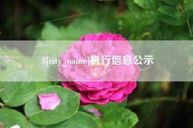 肇东执行信息公示