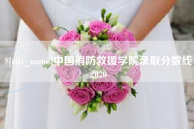 肇东中国消防救援学院录取分数线2020