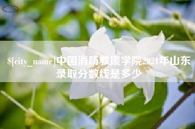 肇东中国消防救援学院2021年山东录取分数线是多少