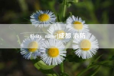 肇东成都 消防