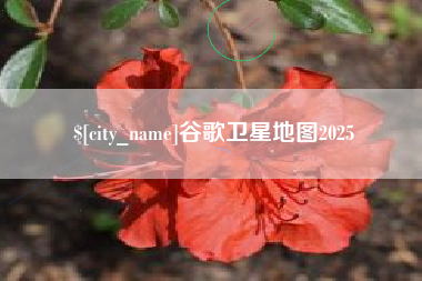 肇东谷歌卫星地图2025