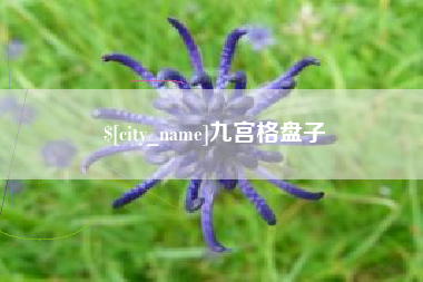 肇东九宫格盘子