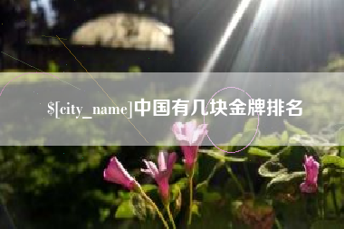 肇东中国有几块金牌排名