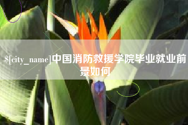 肇东中国消防救援学院毕业就业前景如何