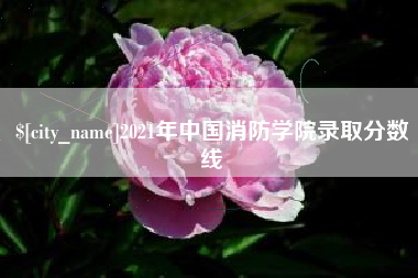 肇东2021年中国消防学院录取分数线