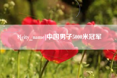 肇东中国男子5000米冠军
