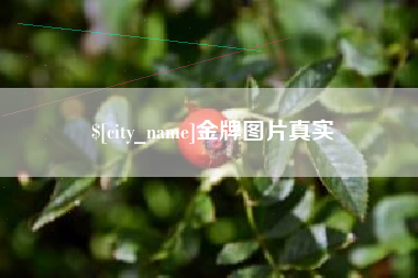 肇东金牌图片真实