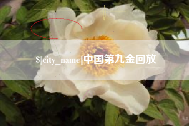 肇东中国第九金回放
