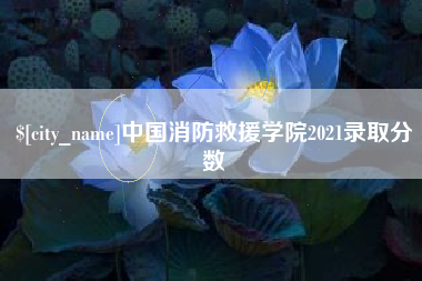 肇东中国消防救援学院2021录取分数