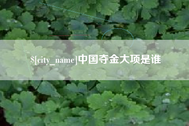 肇东中国夺金大项是谁