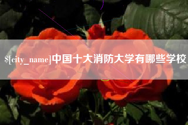 肇东中国十大消防大学有哪些学校