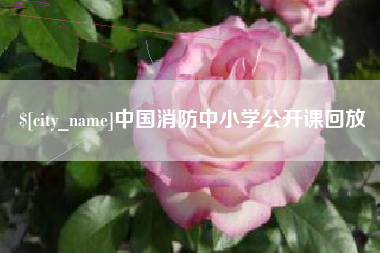 肇东中国消防中小学公开课回放