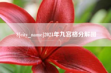 肇东2021年九宫格分解图