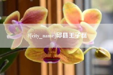 肇东邱县王子磊