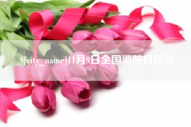 肇东11月9日全国消防日图片