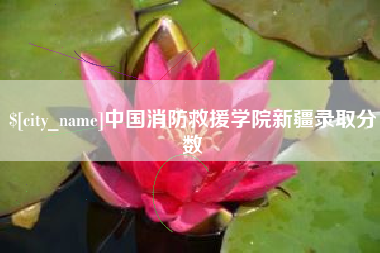 肇东中国消防救援学院新疆录取分数