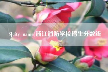 肇东浙江消防学校招生分数线
