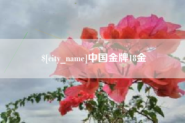 肇东中国金牌18金