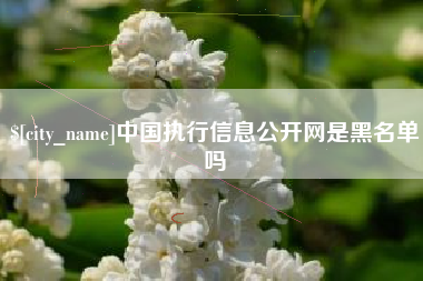肇东中国执行信息公开网是黑名单吗