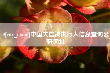 肇东中国失信被执行人信息查询公开网址