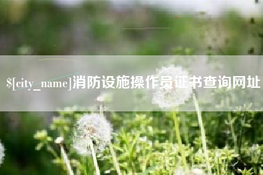 肇东消防设施操作员证书查询网址