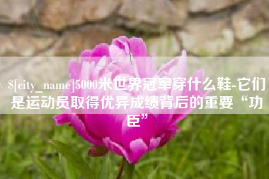 肇东5000米世界冠军穿什么鞋-它们是运动员取得优异成绩背后的重要“功臣”