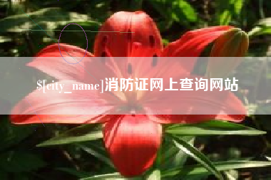 肇东消防证网上查询网站