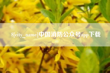 肇东中国消防公众号app下载