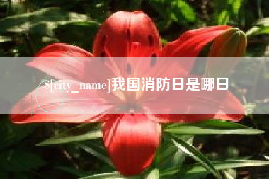 肇东我国消防日是哪日