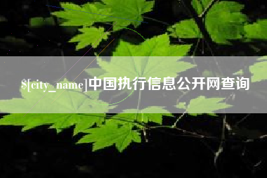肇东中国执行信息公开网查询