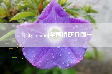 肇东全国消防日哪一