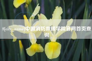 肇东中国消防救援学院官网首页查询