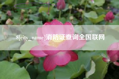 肇东消防证查询全国联网