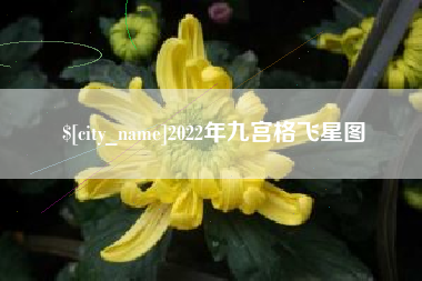 肇东2022年九宫格飞星图