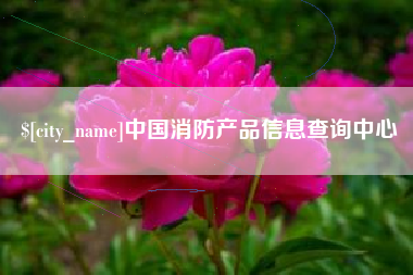 肇东中国消防产品信息查询中心
