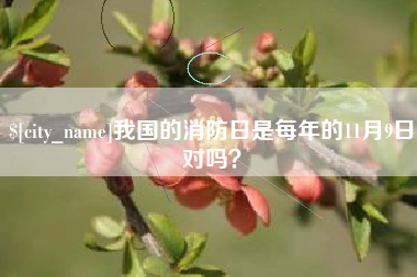 肇东我国的消防日是每年的11月9日对吗？