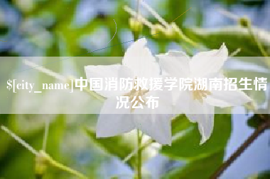 肇东中国消防救援学院湖南招生情况公布