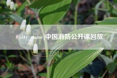 肇东中国消防公开课回放