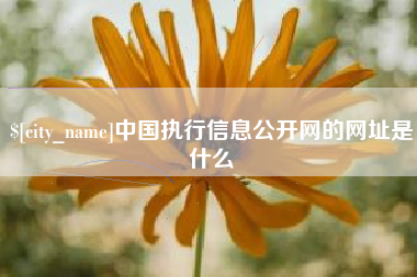 肇东中国执行信息公开网的网址是什么